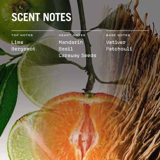 Citrico Reed Diffuser