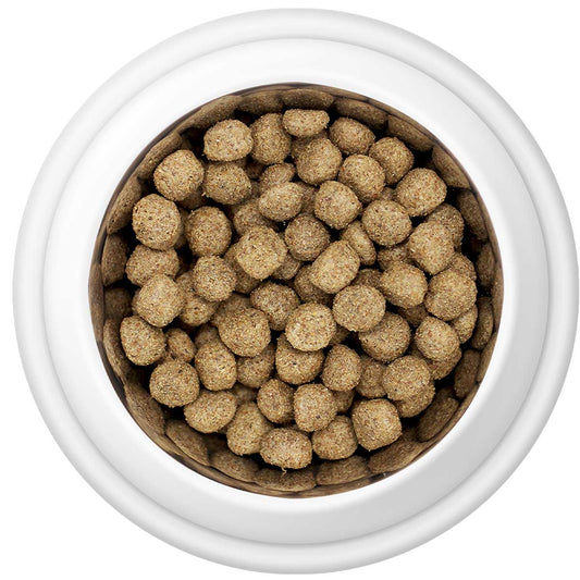 Country Pursuit Maintenance Lifestyle Adult Dog Food 15kg