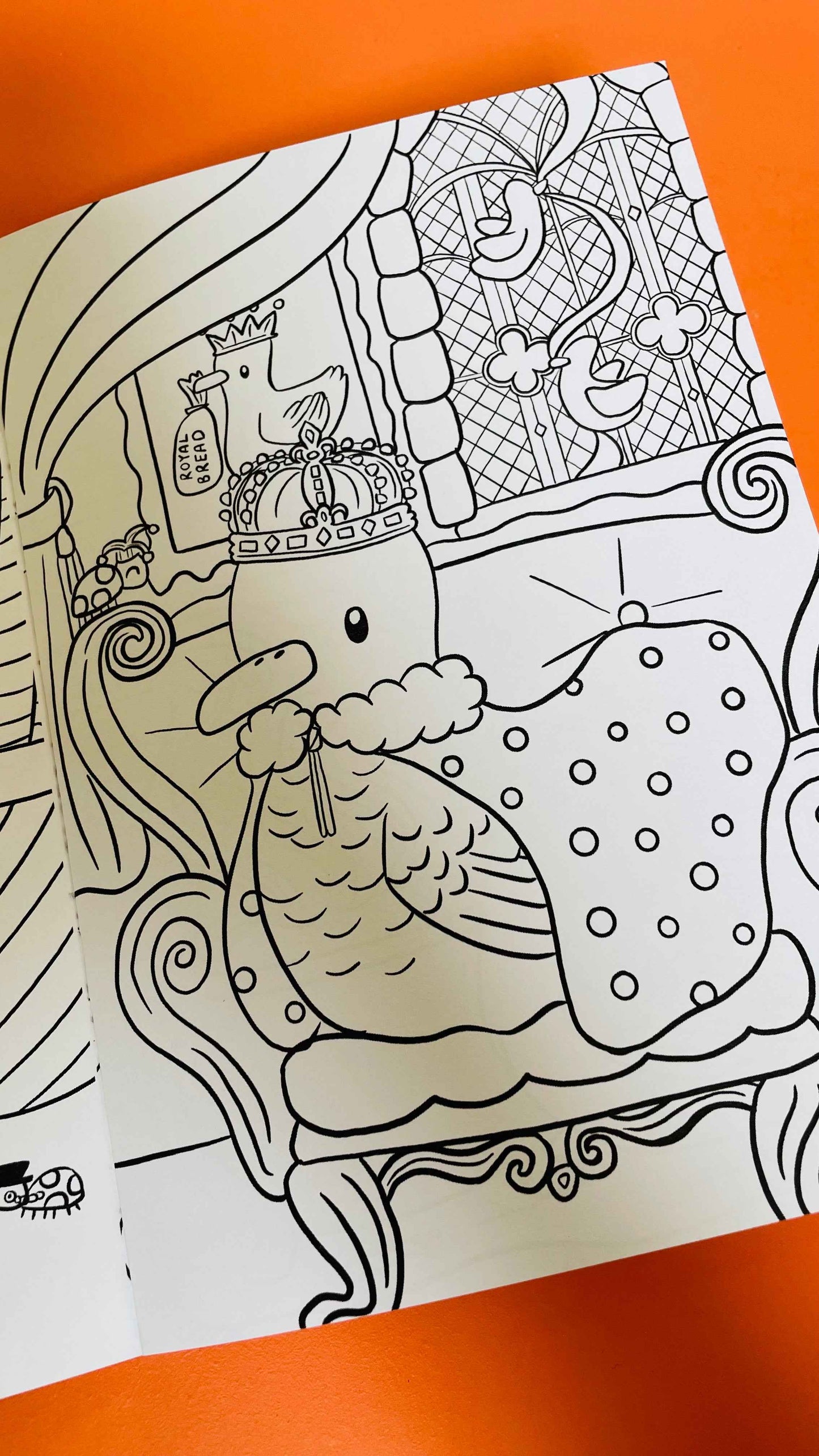 Dapper Ducks Illustrated A5 Colouring Book