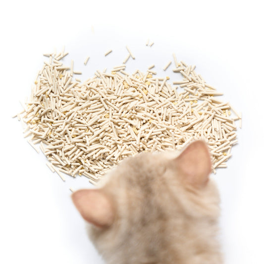 Plant-based Tofu Cat Litter