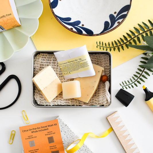 Citrus Mini Travel Wash Kit | Natural “On the Go” Shampoo, Conditioner & SoapSet | Vegan, Plastic-Free Hair Care | Perfect Travel Gift