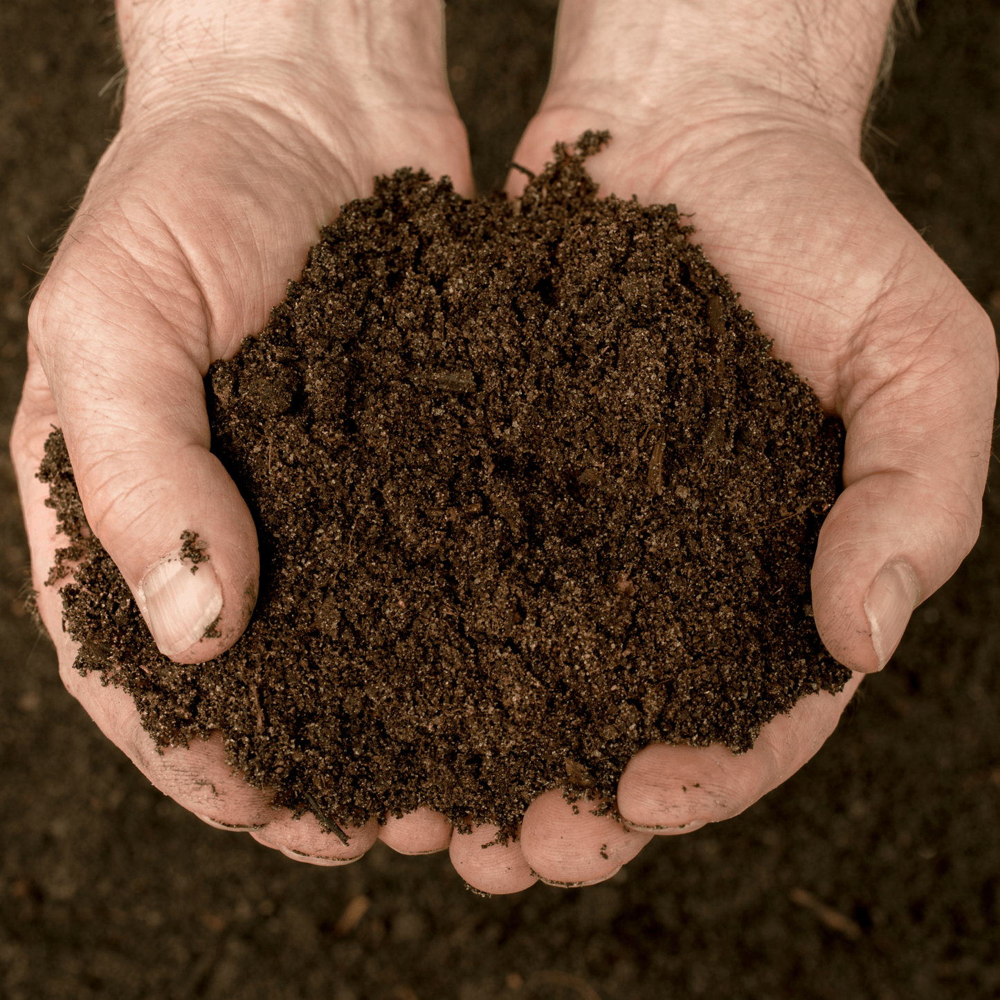 Urban Tree Planting Soil