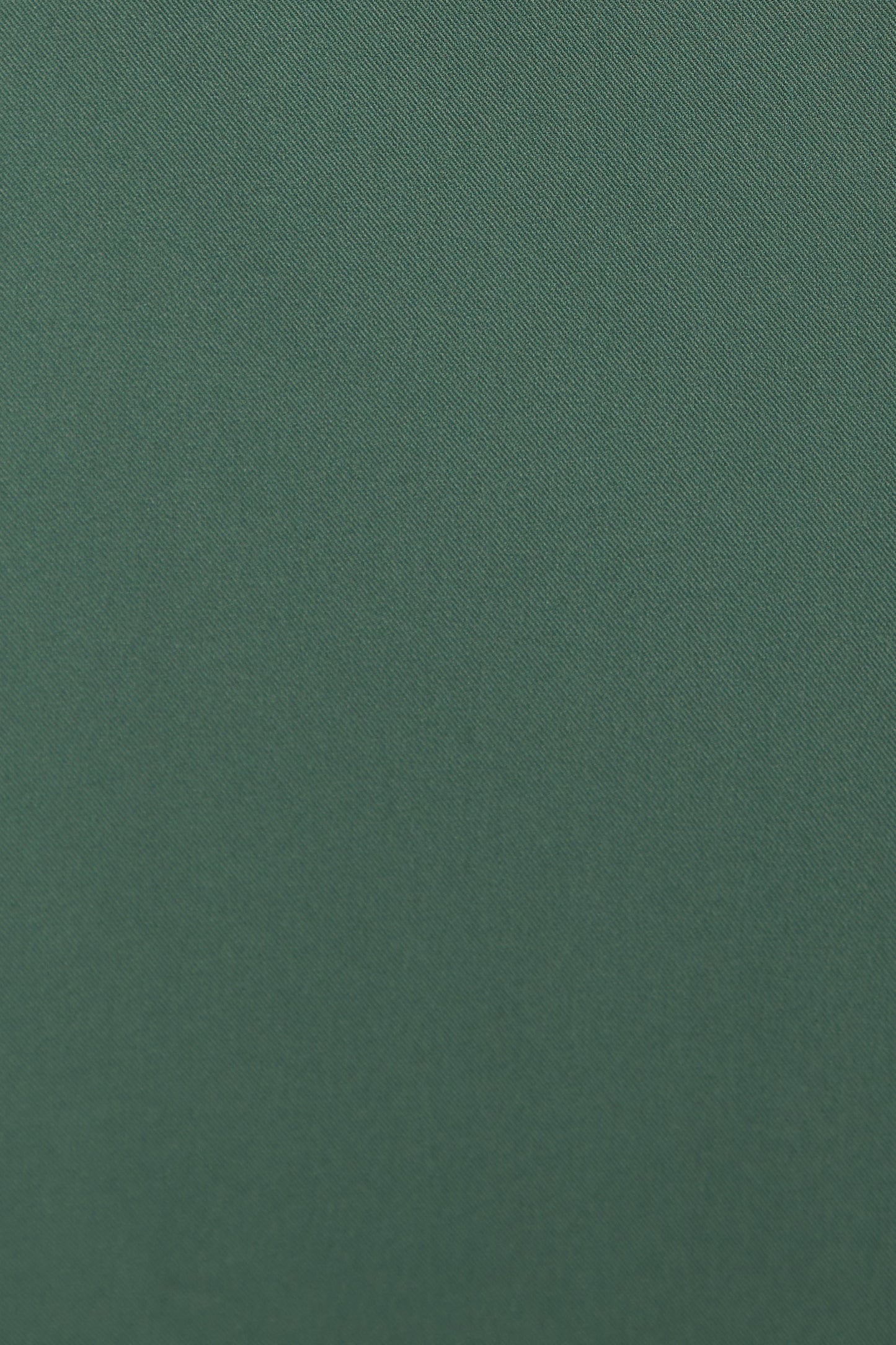 Elina Wide Leg Trouser