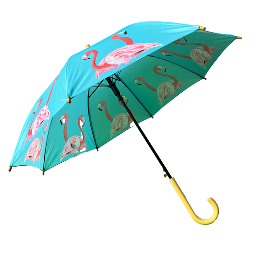 Emily Smith Designs Flossy & Amber Umbrella for Kids