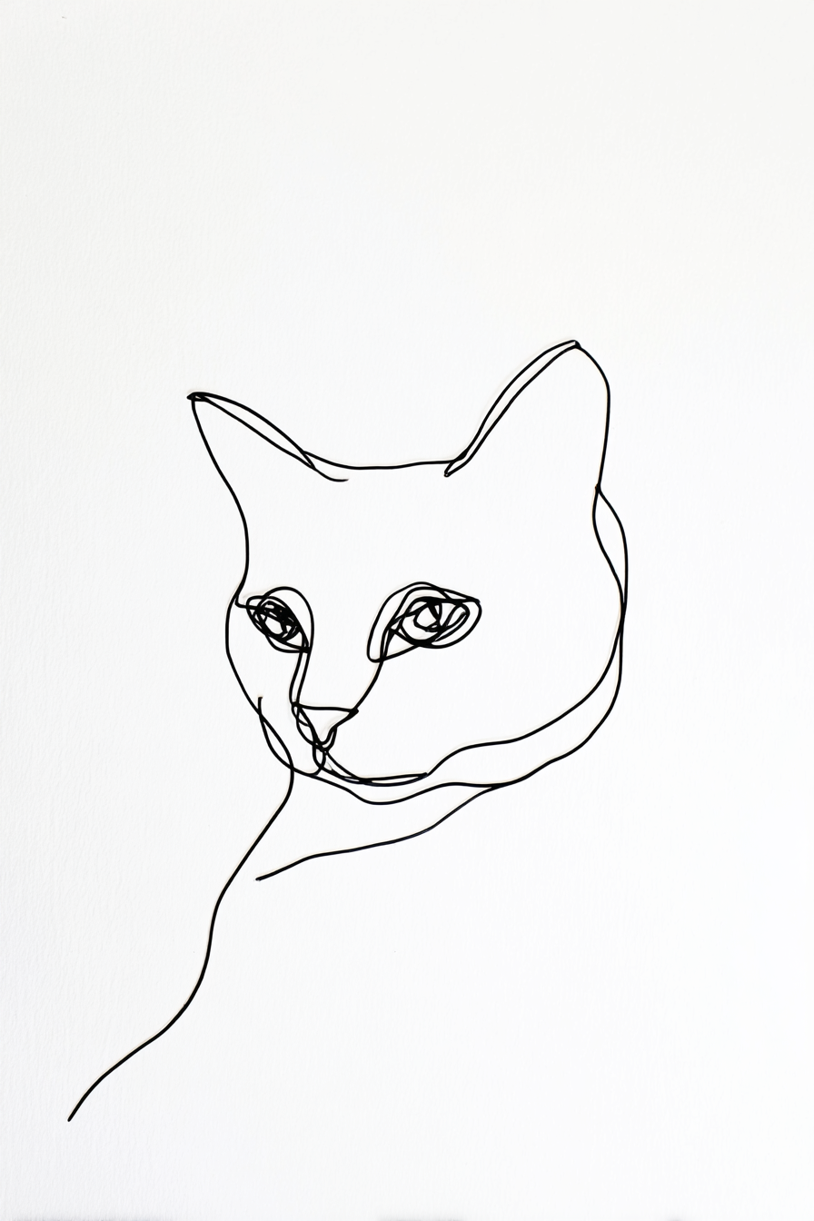 Elegant Feline Canvas