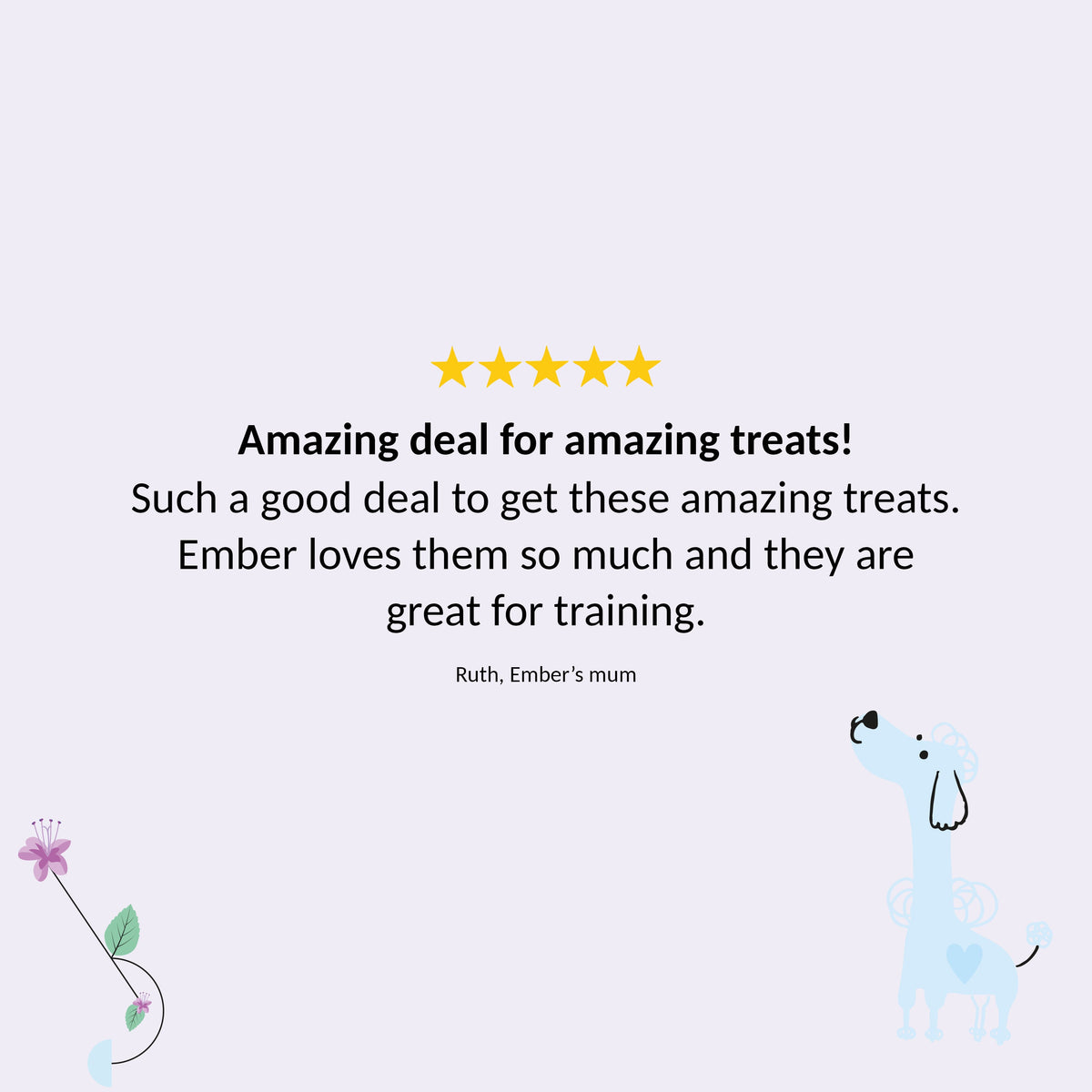 Everyday Treats Bundle for Small Dogs