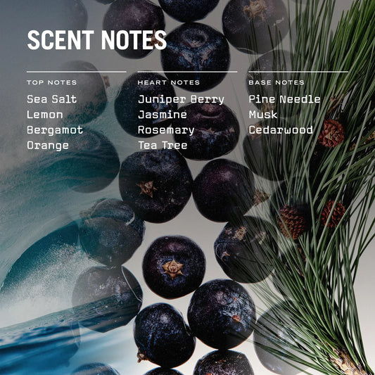 Exmoor Reed Diffuser