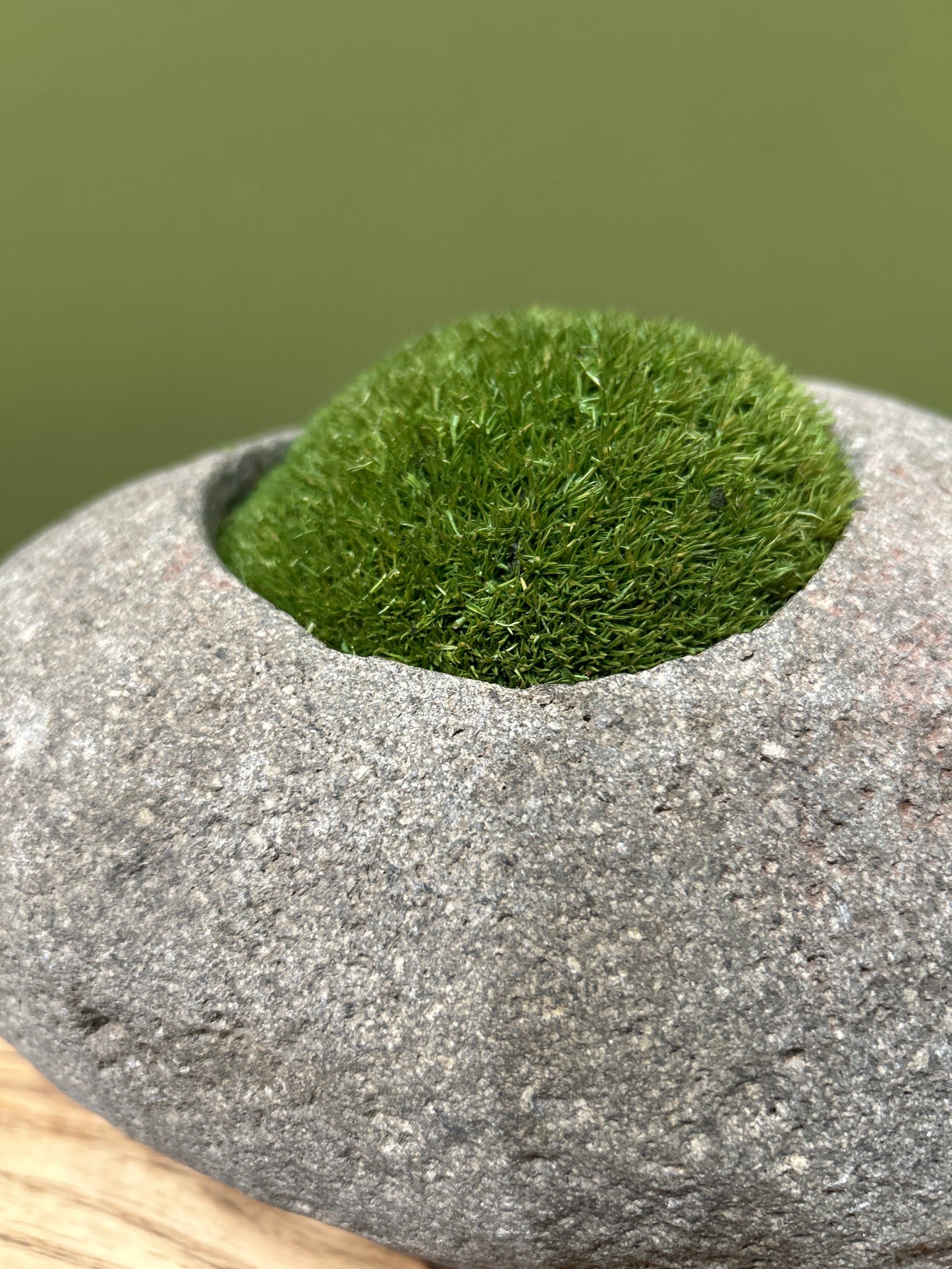 Indo Riverstone planted with Preserved Moss FR69