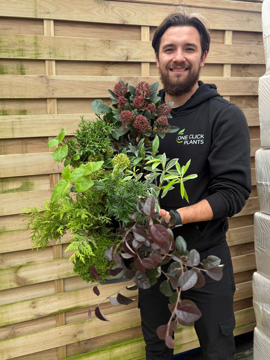 Special offer Shrub Mix