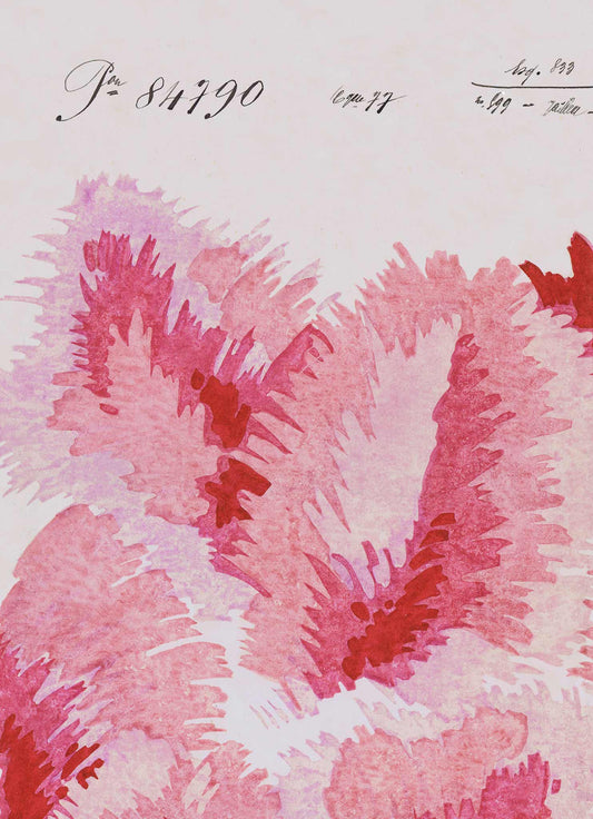 No.032 - Venus Plumes - Vintage Archive Poster Prints