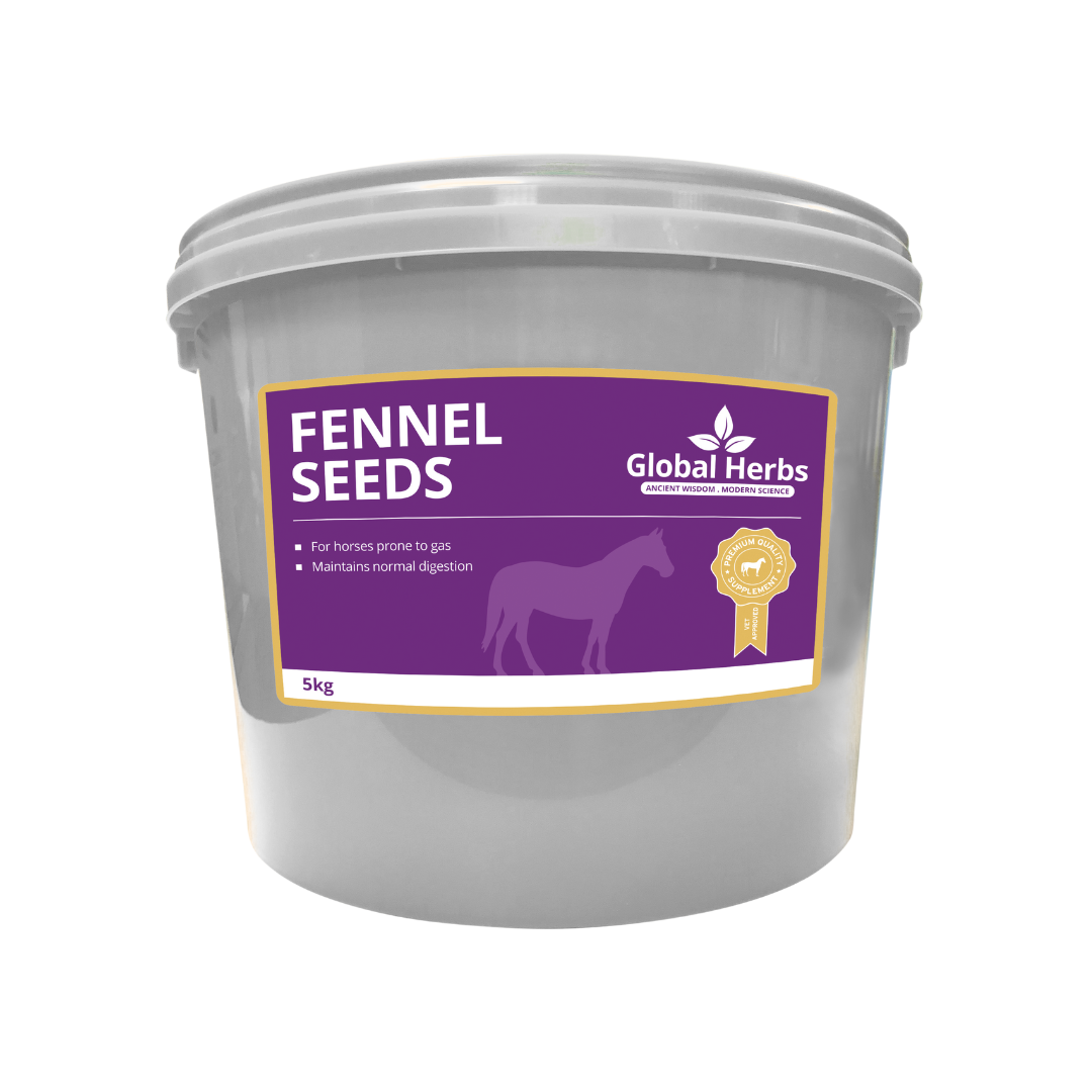 Fennel Seeds  - Global Herbs