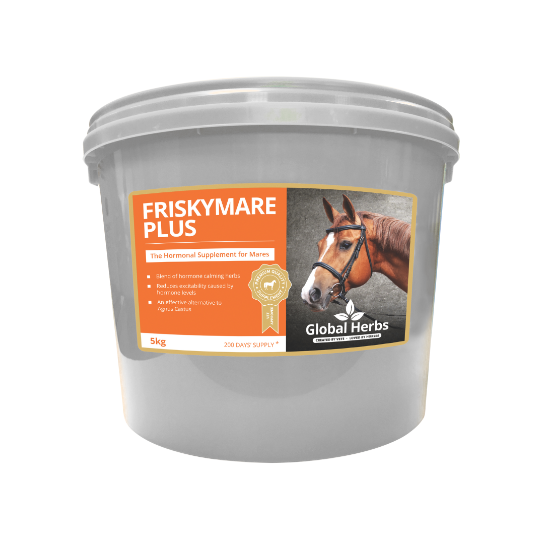 Friskymare Plus - Global Herbs