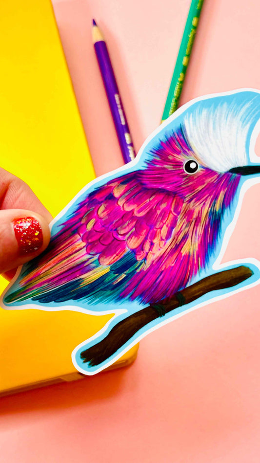 Snowcap Hummingbird Illustrated Vinyl Sticker