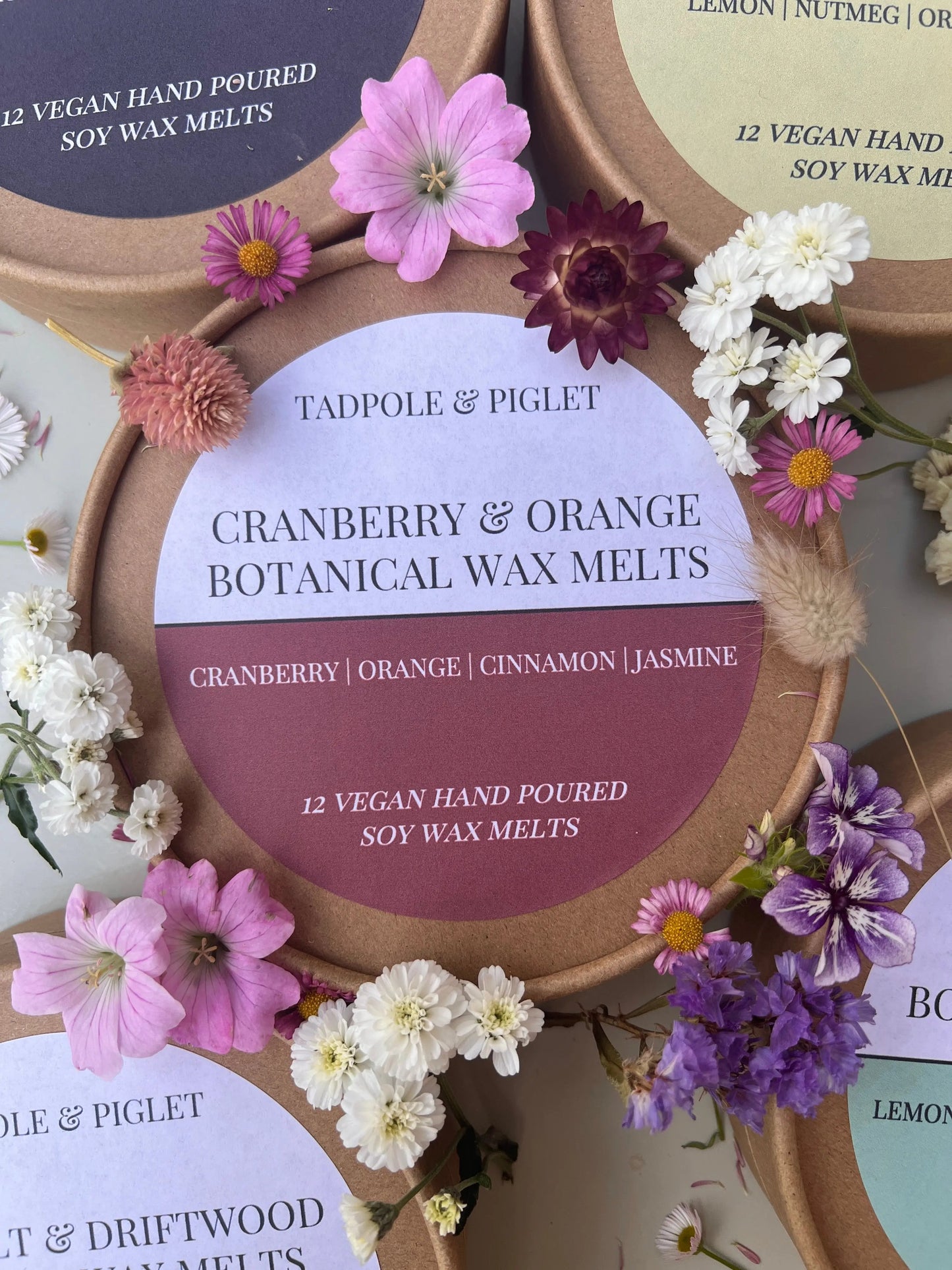 Cranberry & Orange Botanical Wax Melts