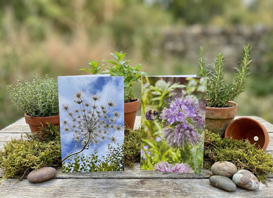 Collection of Four Greeting Cards