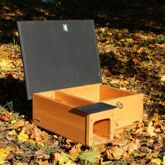 Golden Brown Hedgehog House