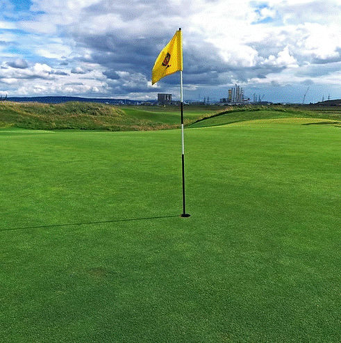 HG.3 Fescue Bent 80:20 Greens Grass Seed Mix
