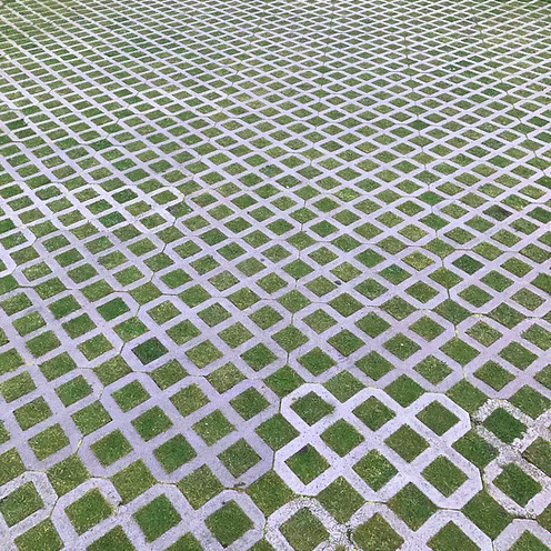 HL.9 Hexipath Gridding Grass Seed Mix (HL9)
