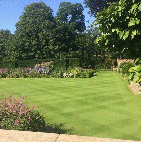 HM.1 Fine Lawn Grass Seed Mix (HM1)