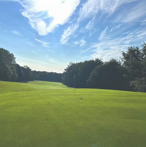 HPG CSI Turf Perennial Greens (+ Creeping Rye) Grass Seed Mix