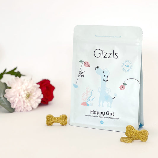 Happy Gut Big Dog Treats (200g)