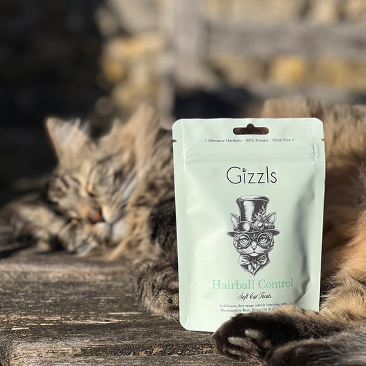 Hairball Control Soft Cat Treats