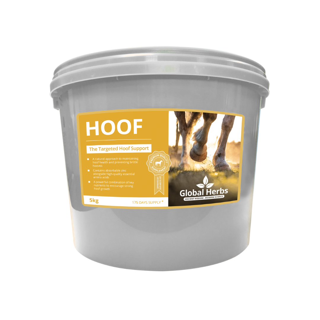 Hoof - Global Herbs