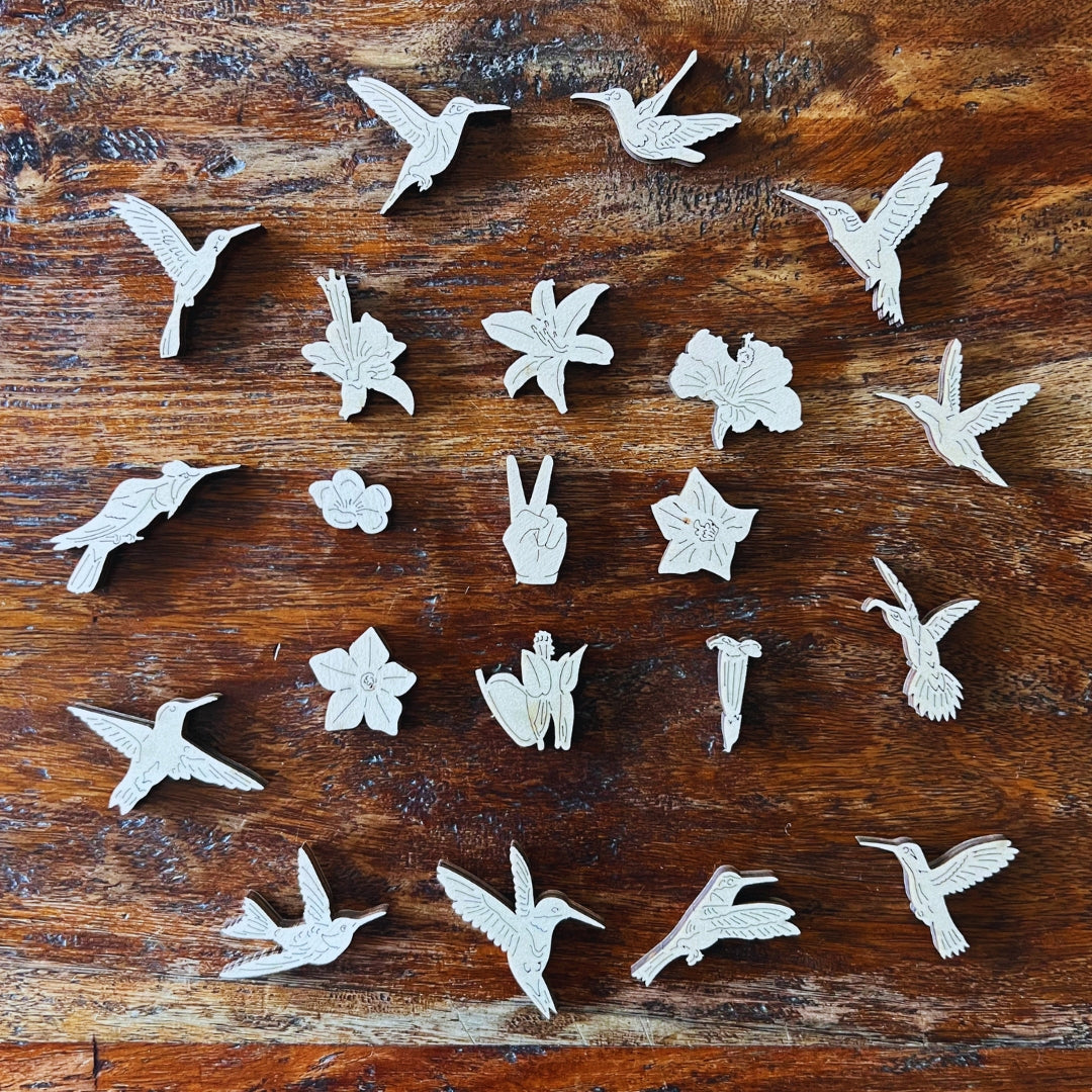 Hummingbirds (Trochilidae)