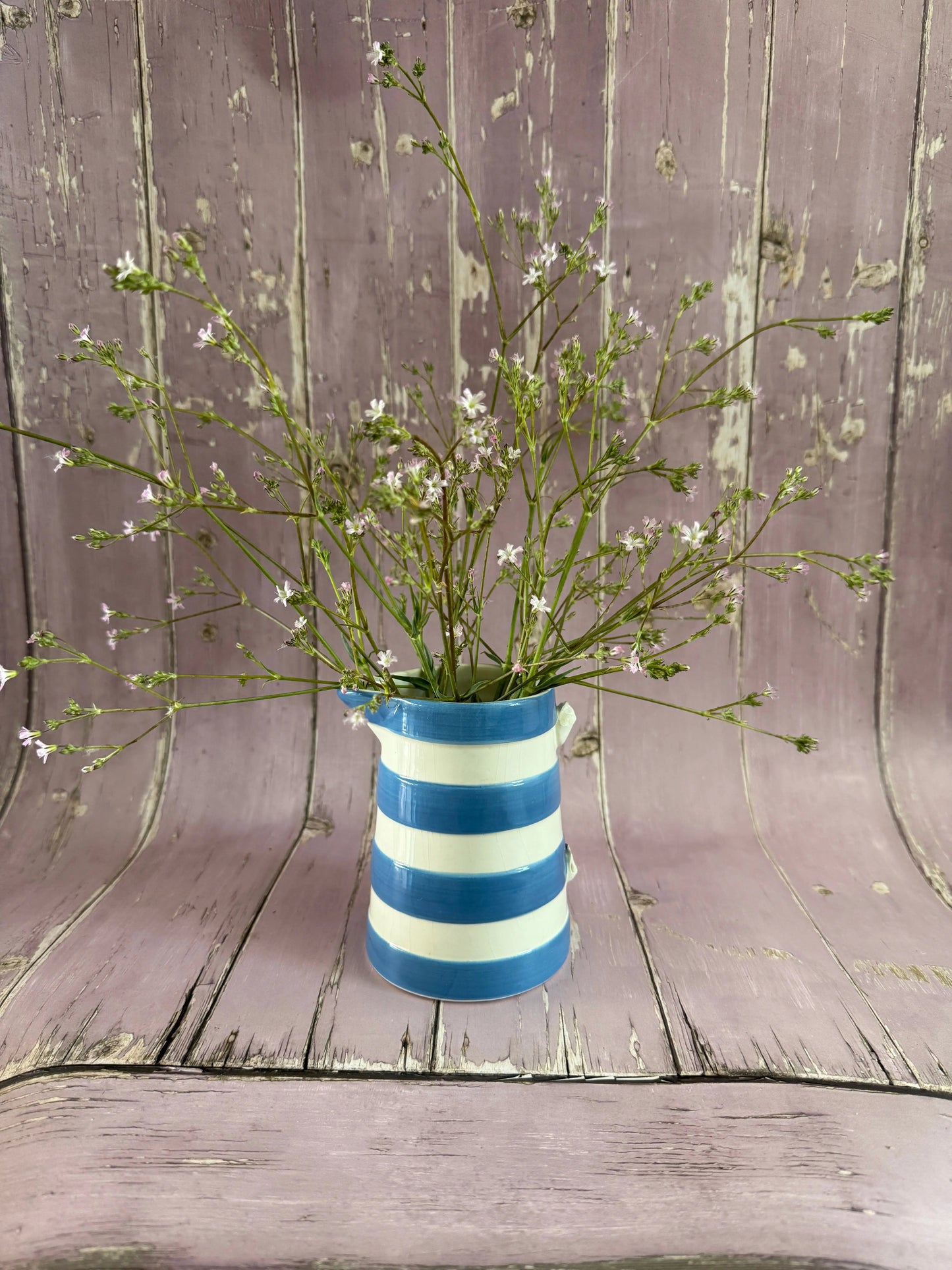 Gypsophila elegens Pink