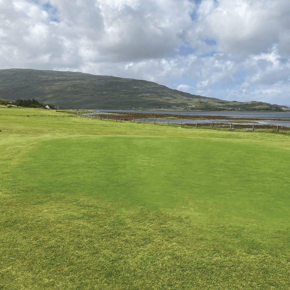 PM 90 Coastal – Salt‑Tolerant Grass Seed Mix for Coastal Sites & Exposed Landscapes