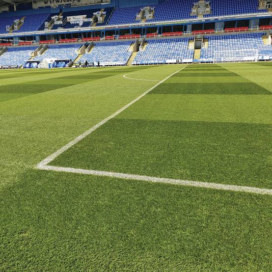 PM 81 Premier Renovation – Elite Sports‑Pitch & Stadium Grass Seed Mix