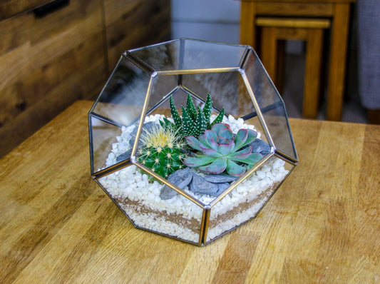 The Geode - Geometric Terrarium with Cactus & Succulent Mix