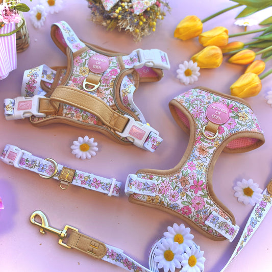 Pastel Petals - Dog Collar + ID Tag Holder