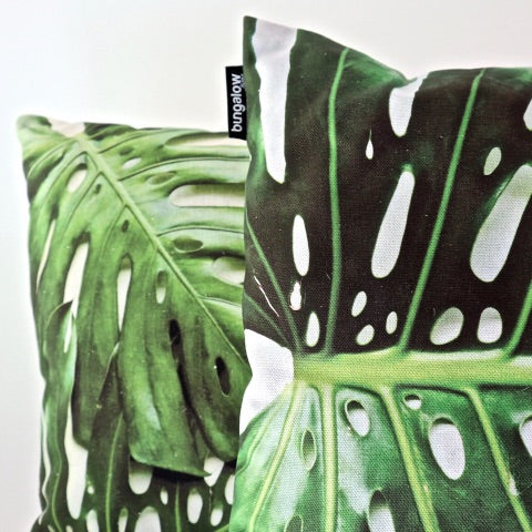 Delicious Monster (Monstera) 5
- Cushion Cover