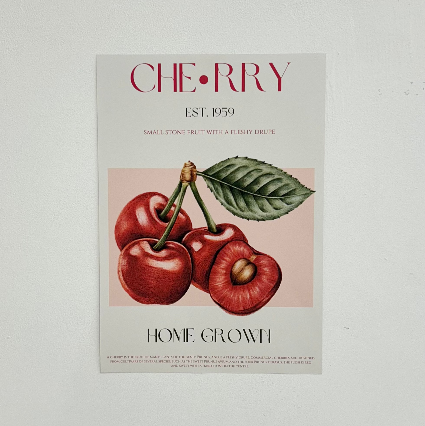 Sweet Red Cherries Print