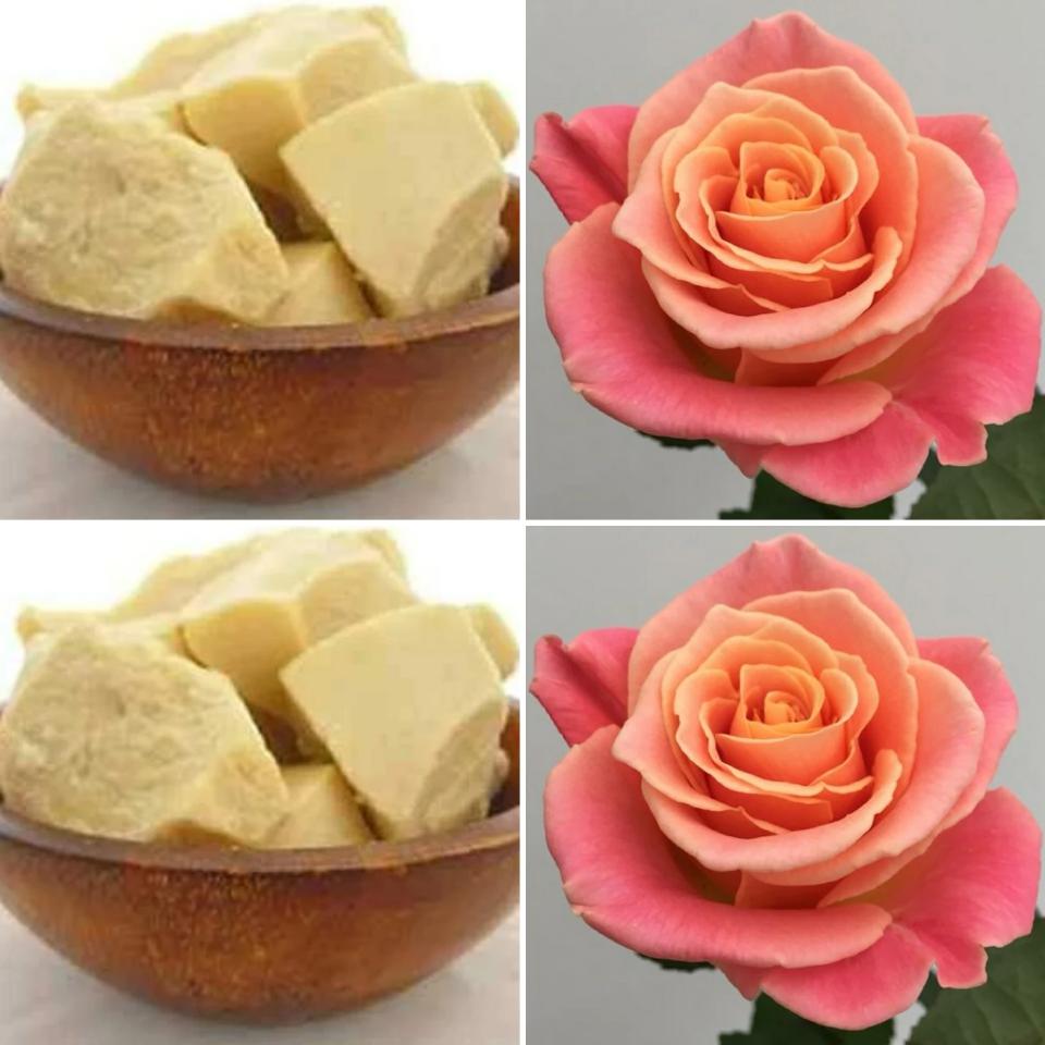 Cocoa Butter & Rose Lotion Bar – Softening Solid Moisturiser for Dry Skin