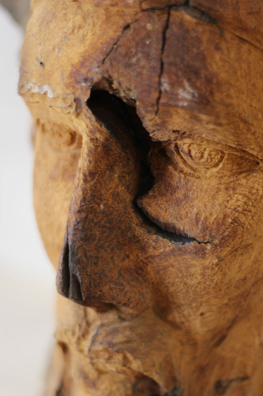 Rizimu Chiwawa Carved Driftwood Head Sculpture - Zimbabwe