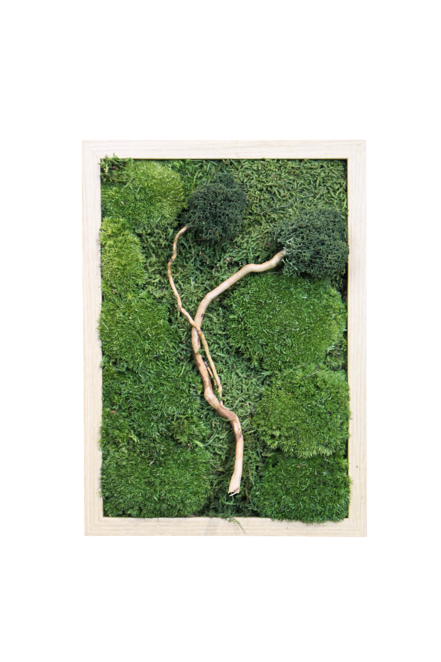 Preserved Moss Art - Zen (Wooden Frame) A4