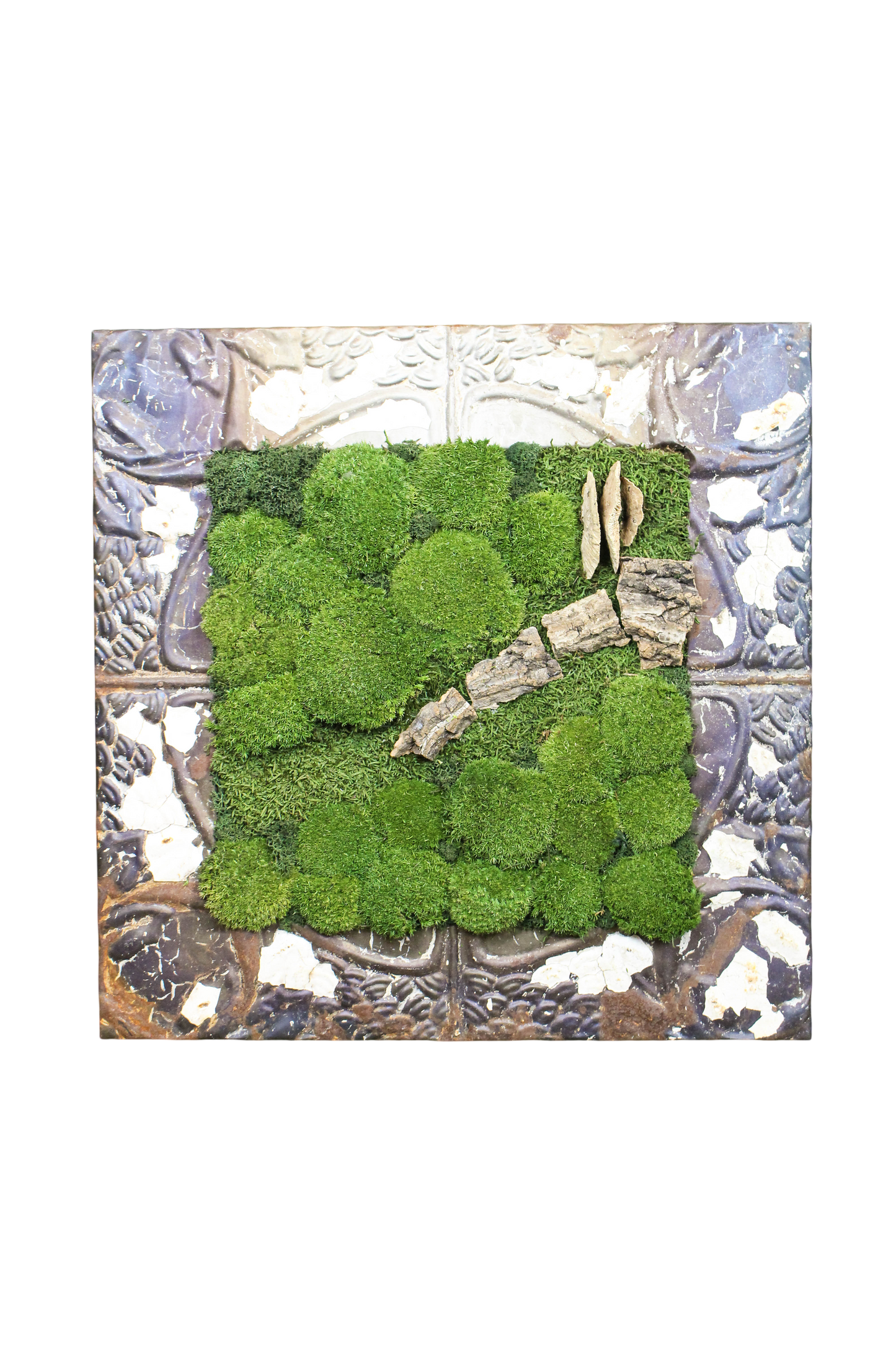 Preserved Moss Art (Victorian Frame)