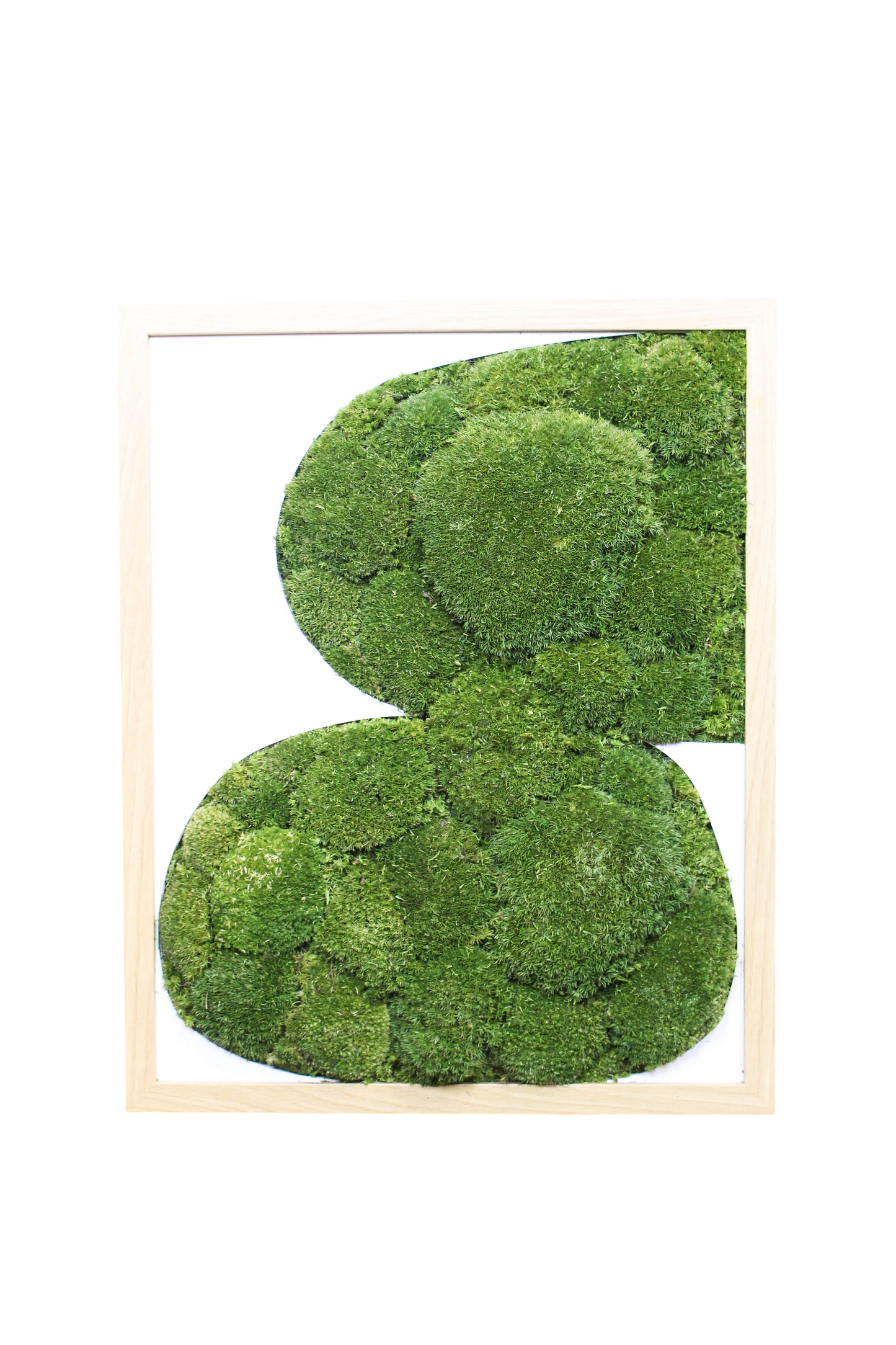Preserved Moss Art - Contemporary
