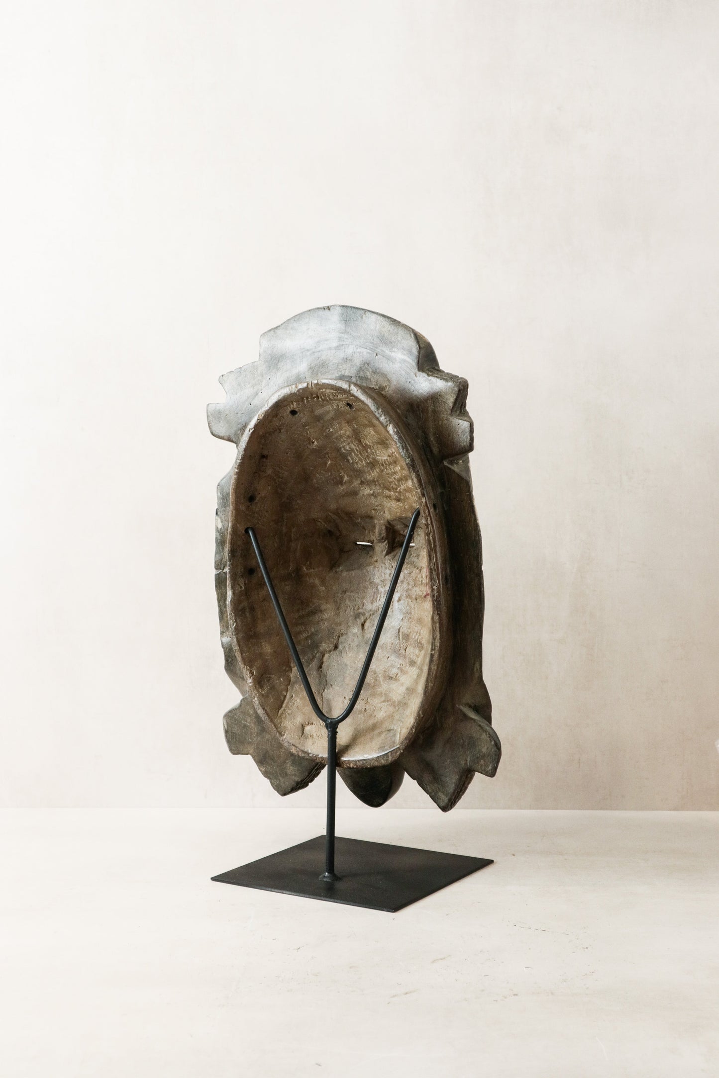 Tortoise Mask - 65.1