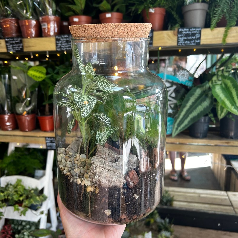 28/03/2026 at 11am Closed terrarium workshop