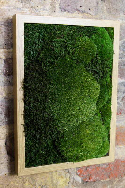Preserved Moss Art - (Wooden Frame) A4 FR79