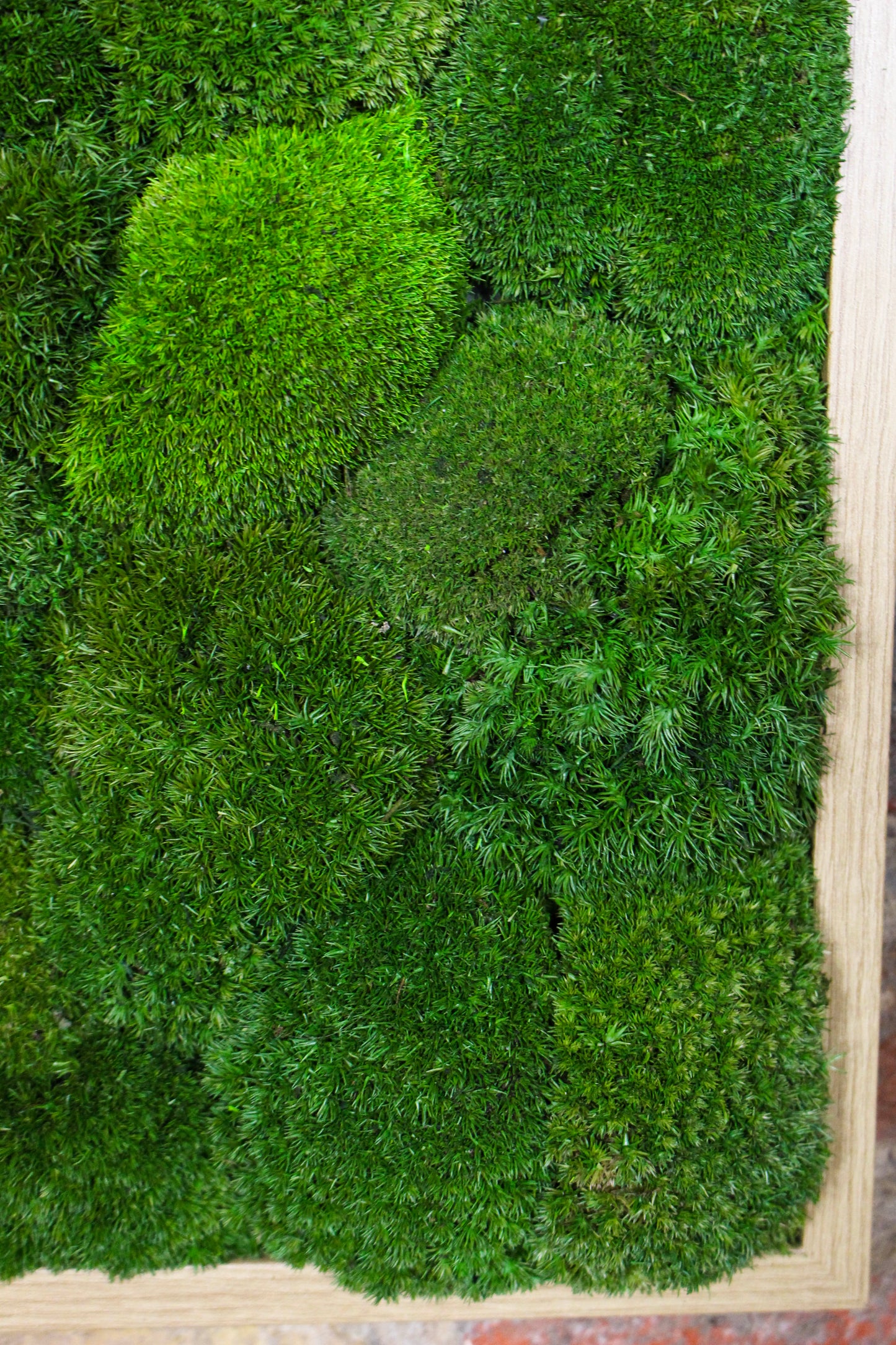 Preserved Moss Art - (Wooden Frame) A4 FR80