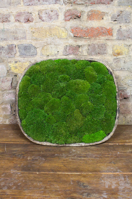 Vintage Moss Bowl FR84