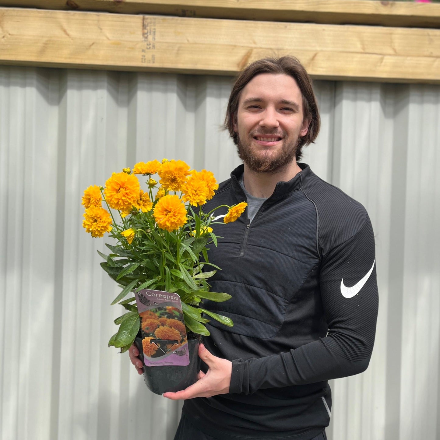 Our Selection of 3 x 2L Perennial Plants