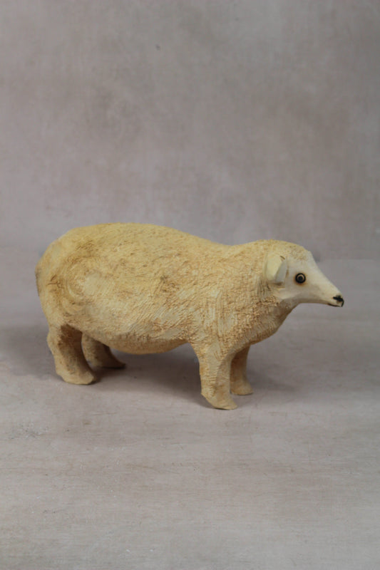 Swazi Sheep 141.4