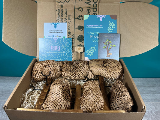 Plant Propagation Gift Set #1