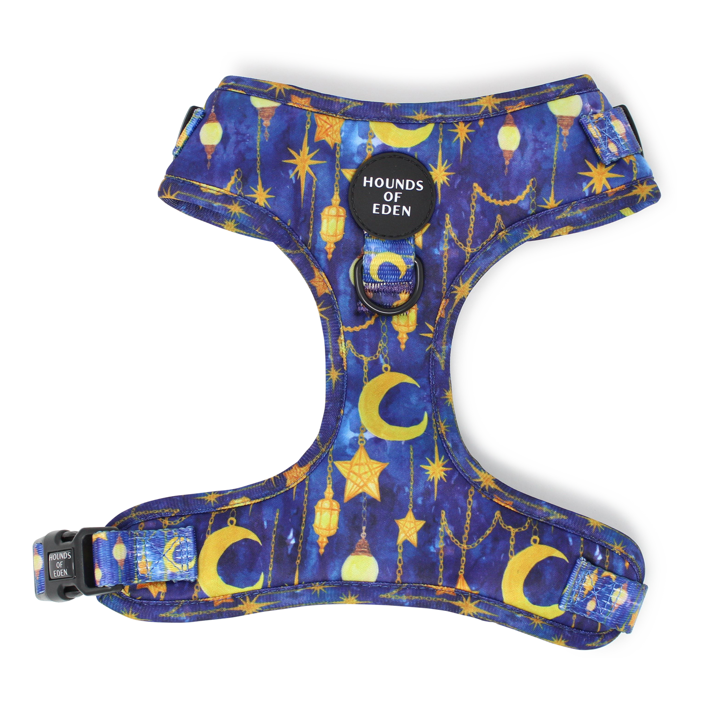 Arabian Nights - Blue and Gold Dog Collar