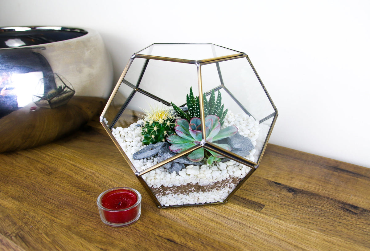 The Geode - Geometric Terrarium with Cactus & Succulent Mix